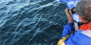 Gansbaai Birkenhead se 164 ste 3